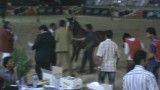 مسابقات اسب زحل اذربایجان