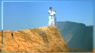 قهرمان کیوکوشین کاراته جهان(شیهان روح اله عبدالوند)