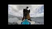اسکی سواری گراز روی آب از نمای نزدیک !!