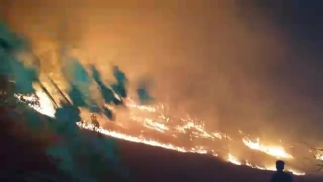 آتش سوزی مناطق وسیعی از بلوطستان کوهدشت لرستان