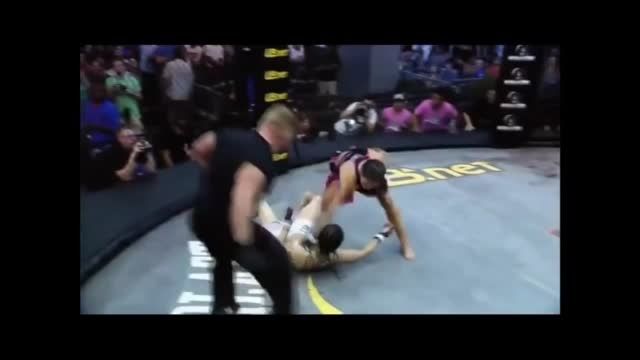 Top 10 MMA Knockouts 2013