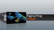 اموزش ریجینگ بال پرنده در مایا Rigging  wing in maya