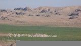خدا حافظ آهوی خوزستان-میکس/تصویربرداری: سید باقر موسوی www.houralazim.com