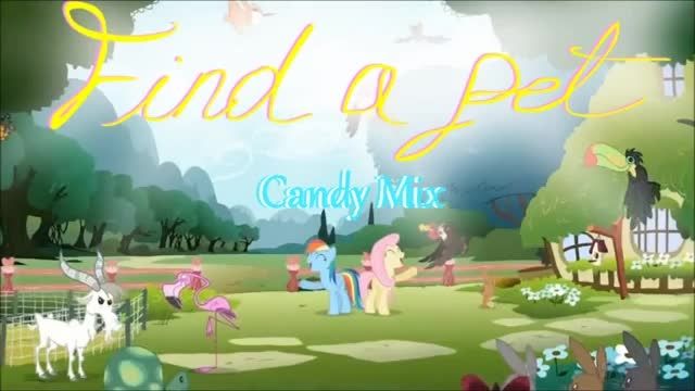 may the best pet win candy remix