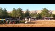 جشنواره اسب دره شوری فارس