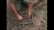 روش ساخت تله گنجشک