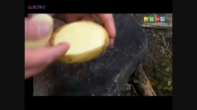 سیب زمینی با تخم مرغ ذغالی+فیلم ویدیو کلیپ آموزنده آشپز