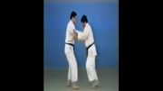Kuchiki Taoshi - 65 Throws of Kodokan Judo