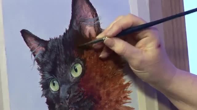 آموزش نقاشی (طراحی موی گربه)