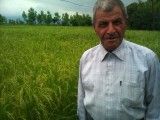 تاجر برنج محمد حسین عشوری گیلاكجانی