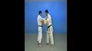 Kawazu Gake - 65 Throws of Kodokan Judo
