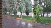 باران تابستانی در سیرجان