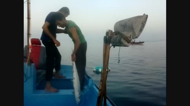 شکار ماهی و  شنا در خلیج فارس