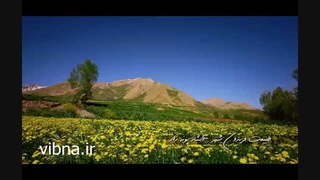 طبیعت فریدونشهر بام ایران - پونه زار