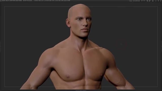 3D Realistic Male Body, Anatomy Study, ZBrush