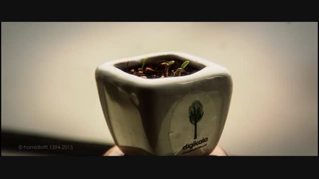 بسته های سبز دیجیکالا - تایم لپس از رشد گیاه
