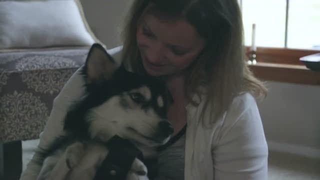 کمک پرینتر سه بعدی به سگ معلول