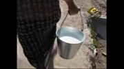 گزارش تولیدی از مراسم شیردوشان در نیشابور