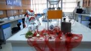 تبریک سال نو از طرف ربات NAO -کاری از آزمایشگاه تعامل انسان و ربات (تار)-دانشگاه تهران