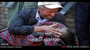 ویدیو فوق العاده زیبا درباره زلزله آذربایجان