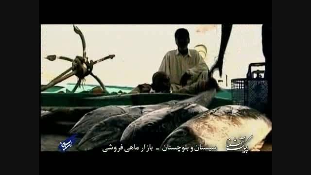 پیک آشنا (سیستان و بلوچستان - بازار ماهی فروشی)