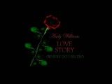 Andy Williams /Love Story