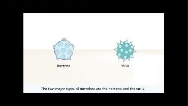 میکروب ،ویروس، باکتری چیست (دوبله)