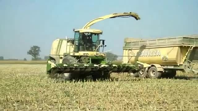 BigX 850 + 10 Row - Corn Silage in