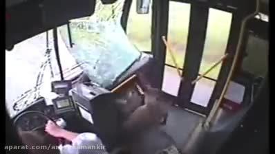 برخورد گوزن با اتوبوس