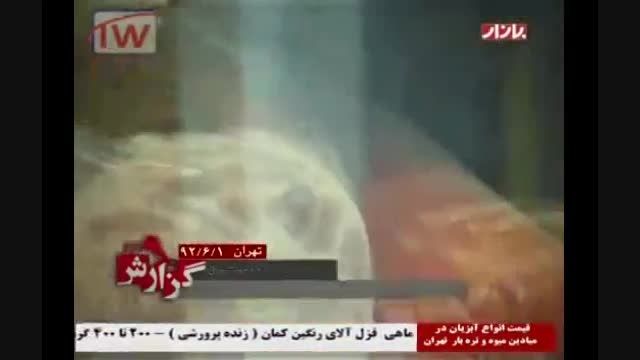 گزارش تلویزیون ایران از وضعیت سوسیس و کالباس در بازار