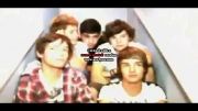 video diary-week 2