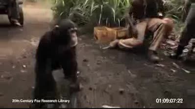 میمون تیر انداز فوق العاده جالبه حتما ببینید!