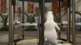 برنارد خرس قطبی | فصل یک قسمت بیست و یک