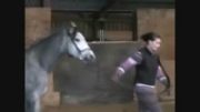 کمانگیری روی اسب ( حساسیت زدایی اسب )2