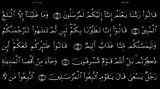 القرآن الکریم - 36 - سورة یس - سعد الغامدی
