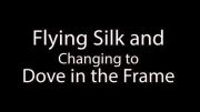 Flying Silk And Changing to Dove