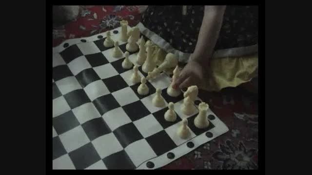 چیدن شطرنج توسط هلیا لشگری در 2 سالگی