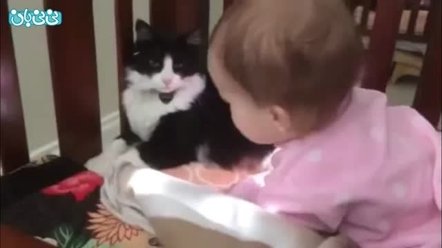 گربه ای که نوزاد را حمام می کند