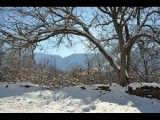 زیبایی های طبیعت زیبای ارس کنار در زمستان