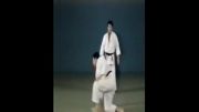 Ashi Guruma - 65 Throws of Kodokan Judo