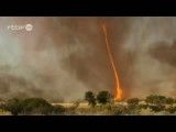 گردباد آتش در استرالیا
