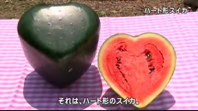 هندوانه قلبی