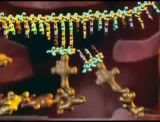 ارسال توسط زبرجد ... رونویسی از روی مولکول DNA به همراه فرایند ترجمه و ساخت پروتئین