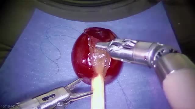 انجام عمل جراحی روی دانه انگور توسط یک ربات