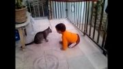 بازی با گربه