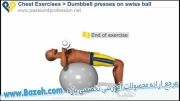 حرکات بدن سازی سینه - Dumbbell presses on swiss ball