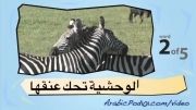آموزش عربی با تصویر-46