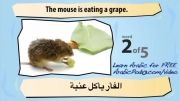 آموزش عربی با تصویر-49