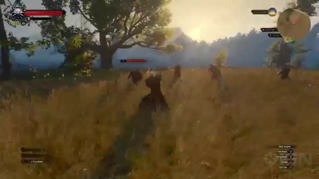 مهارت های بالای گرات در The Witcher 3 Wild Hunt