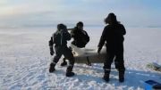 نصب دوربین و ردیاب ماهواره ای برای مراقبت از خرس قطبی
